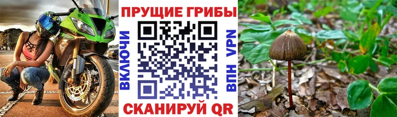 Галлюциногенные грибы ЛСД  где можно купить наркотик  Тотьма 